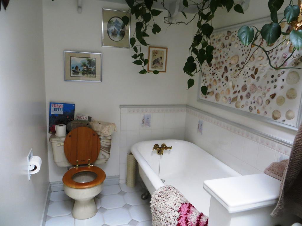 Elevate Rooms Calla'S Palace 재스퍼 객실 사진